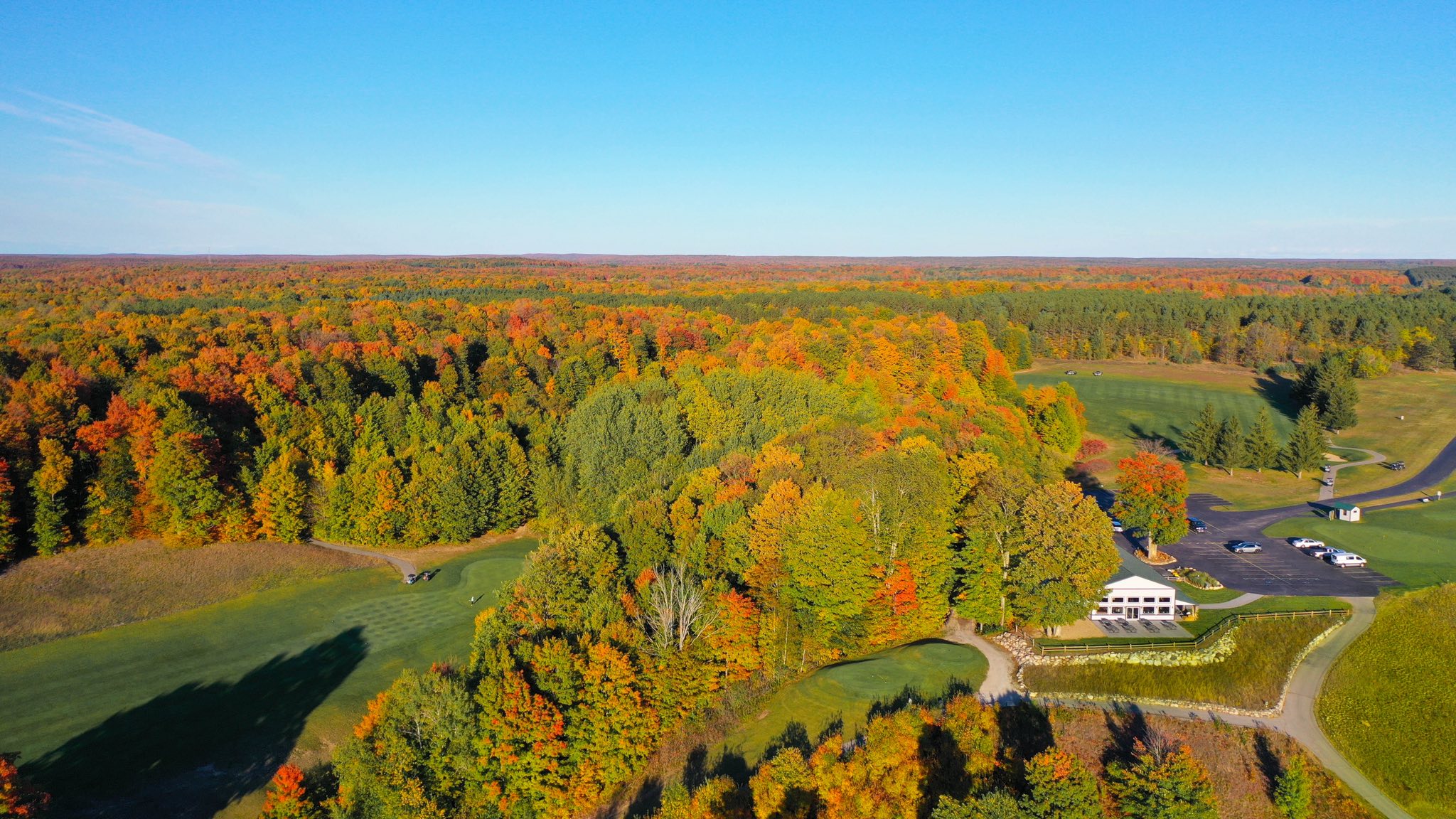 Bird's Eye view of trees on golf course